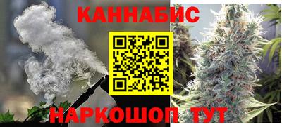 гашик Бийск