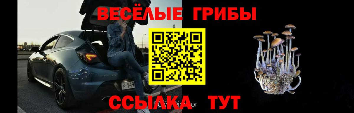 Галлюциногенные грибы мицелий Владикавказ