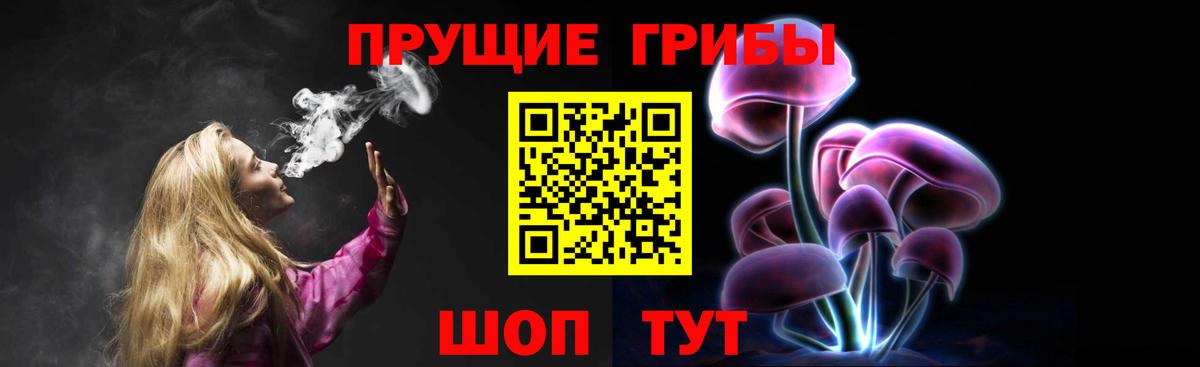 Владикавказ  Галлюциногенные грибы Cubensis  Вход с VPN 